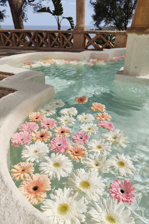 Decoración agua